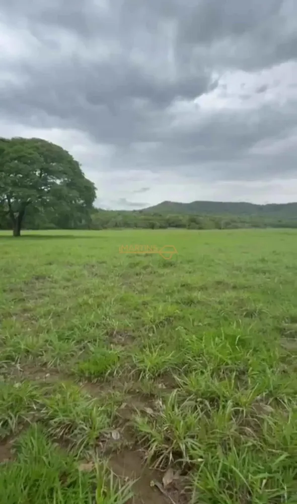 Fazenda, 58 hectares - Foto 2