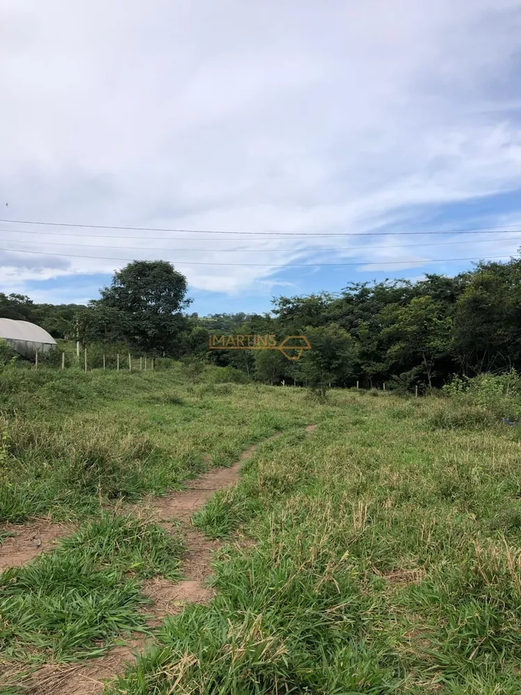 Terreno, 4 hectares - Foto 2