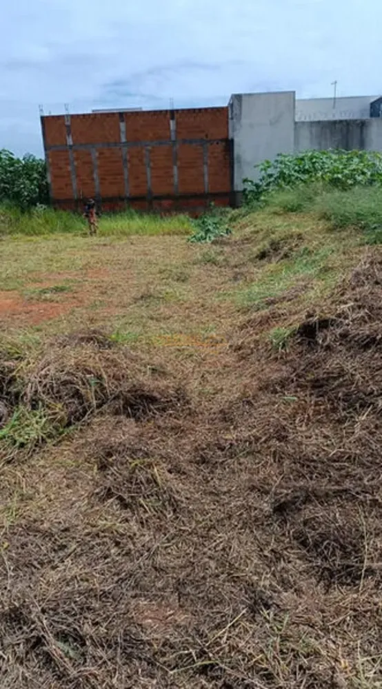 Terreno, 250 m² - Foto 3