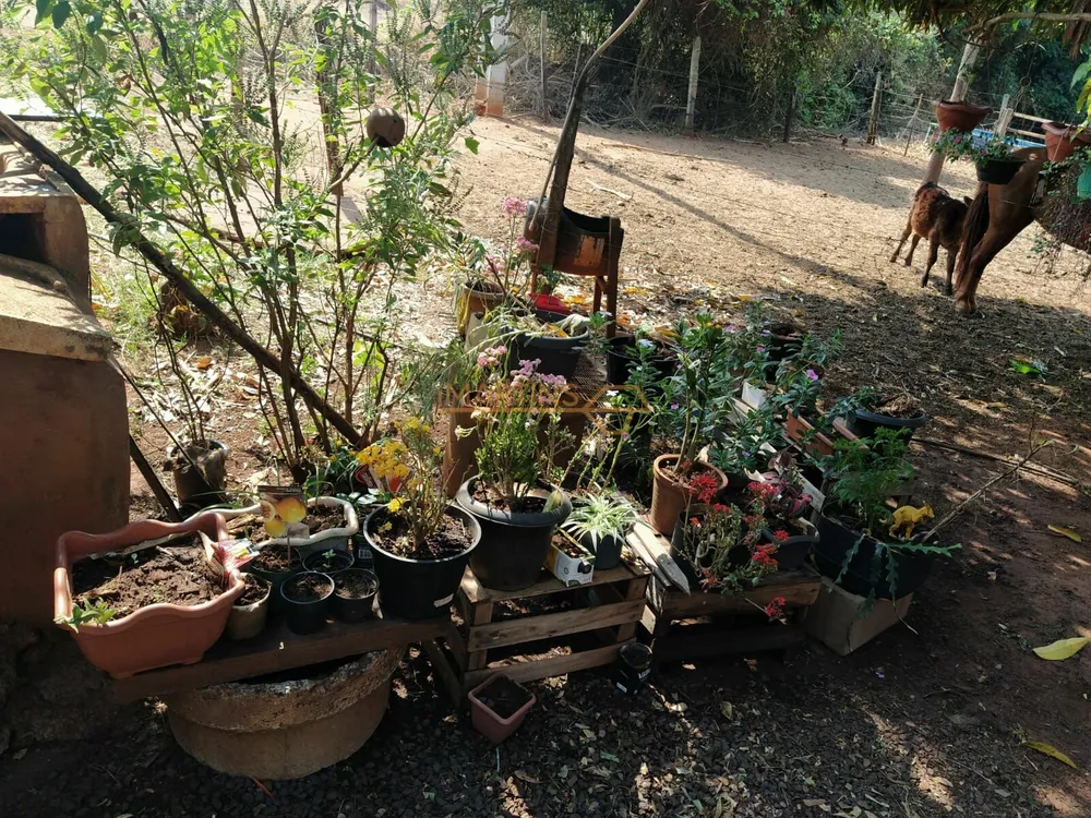 Fazenda, 11 hectares - Foto 1