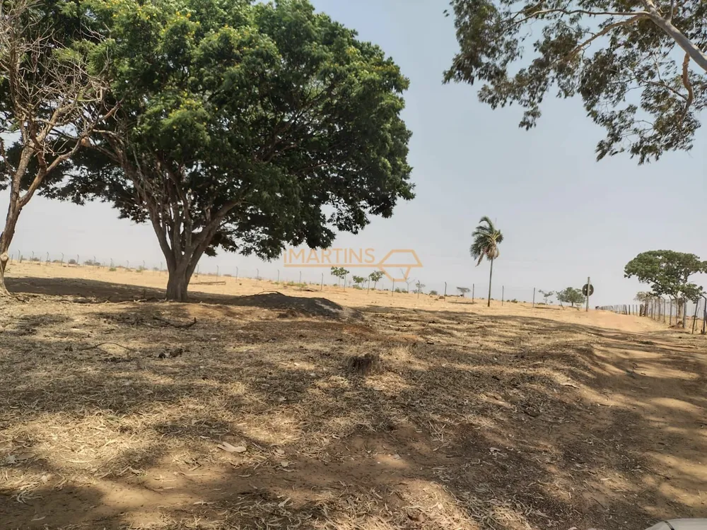 Fazenda, 11 hectares - Foto 3