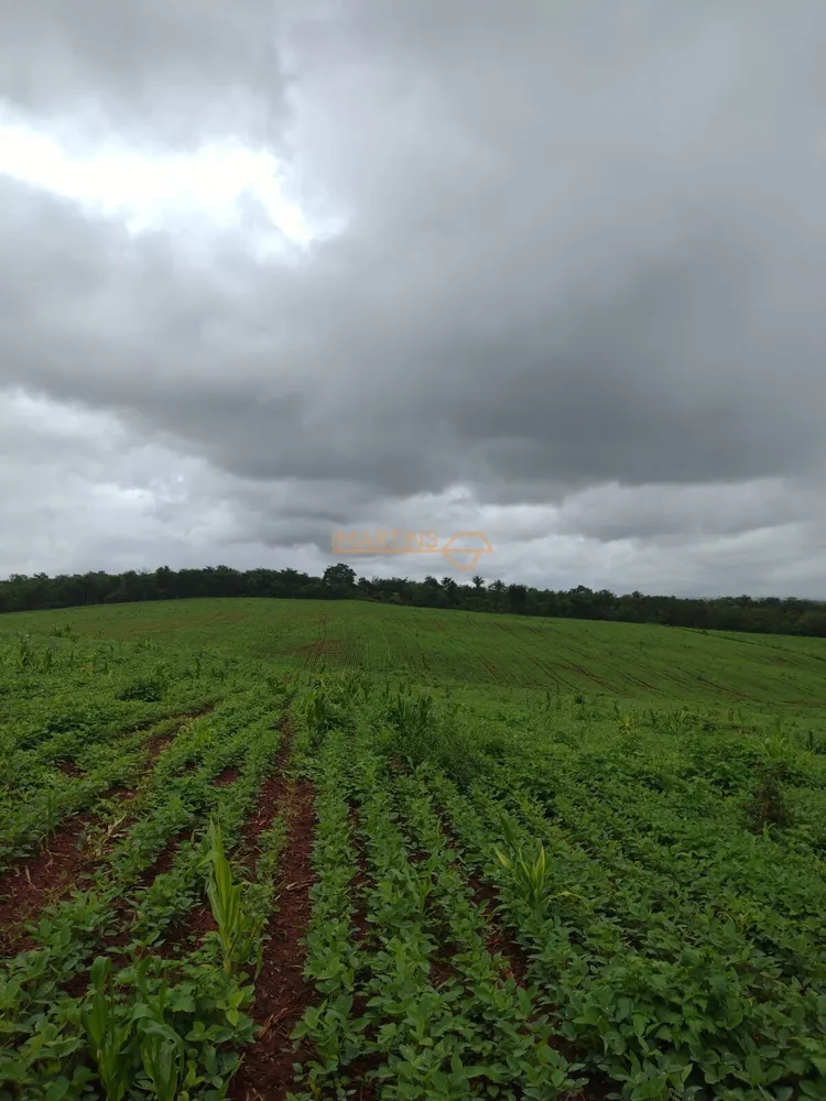 Fazenda, 555 m² - Foto 1