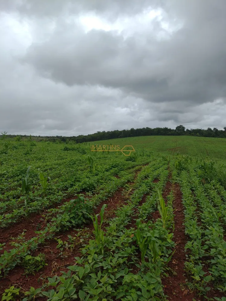 Fazenda, 555 m² - Foto 3