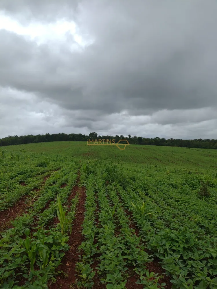 Fazenda, 555 m² - Foto 2