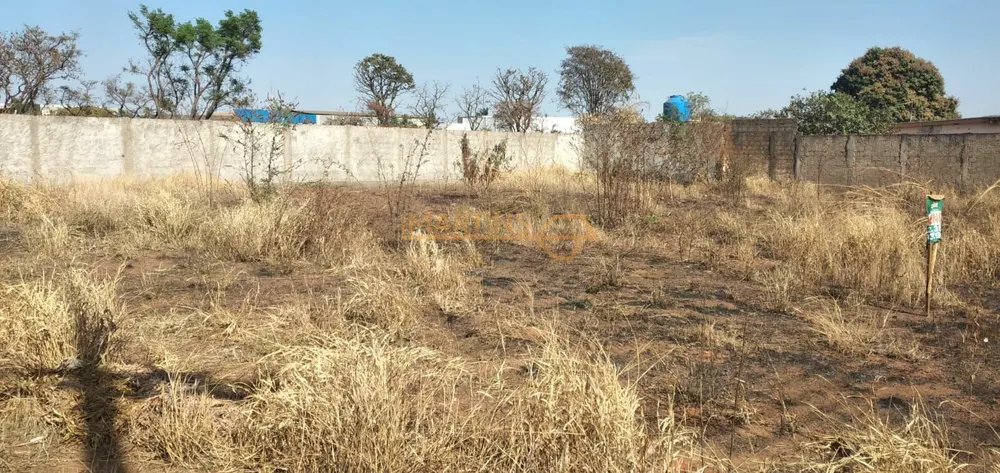 Terreno, 980 m² - Foto 3