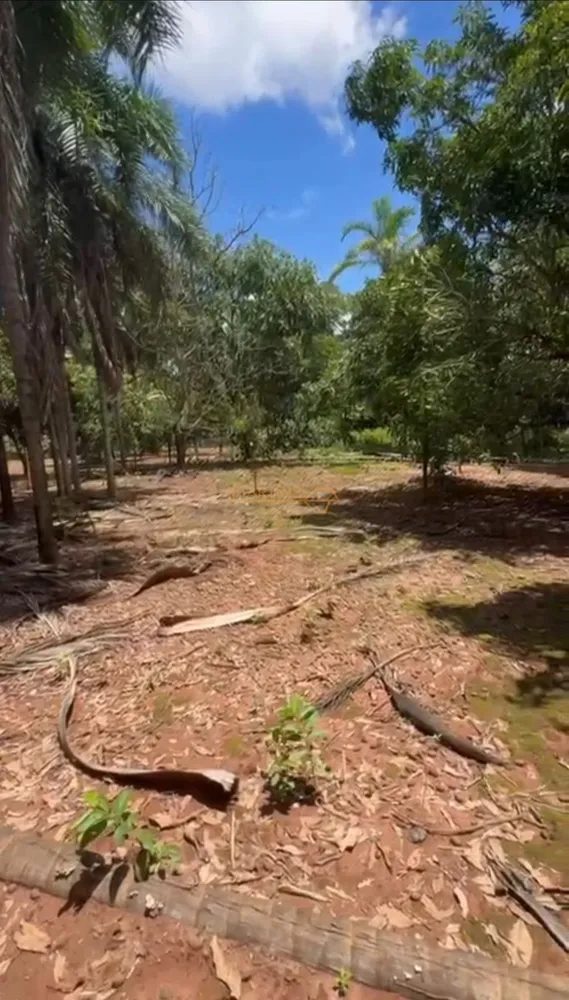 Fazenda, 1000 m² - Foto 1