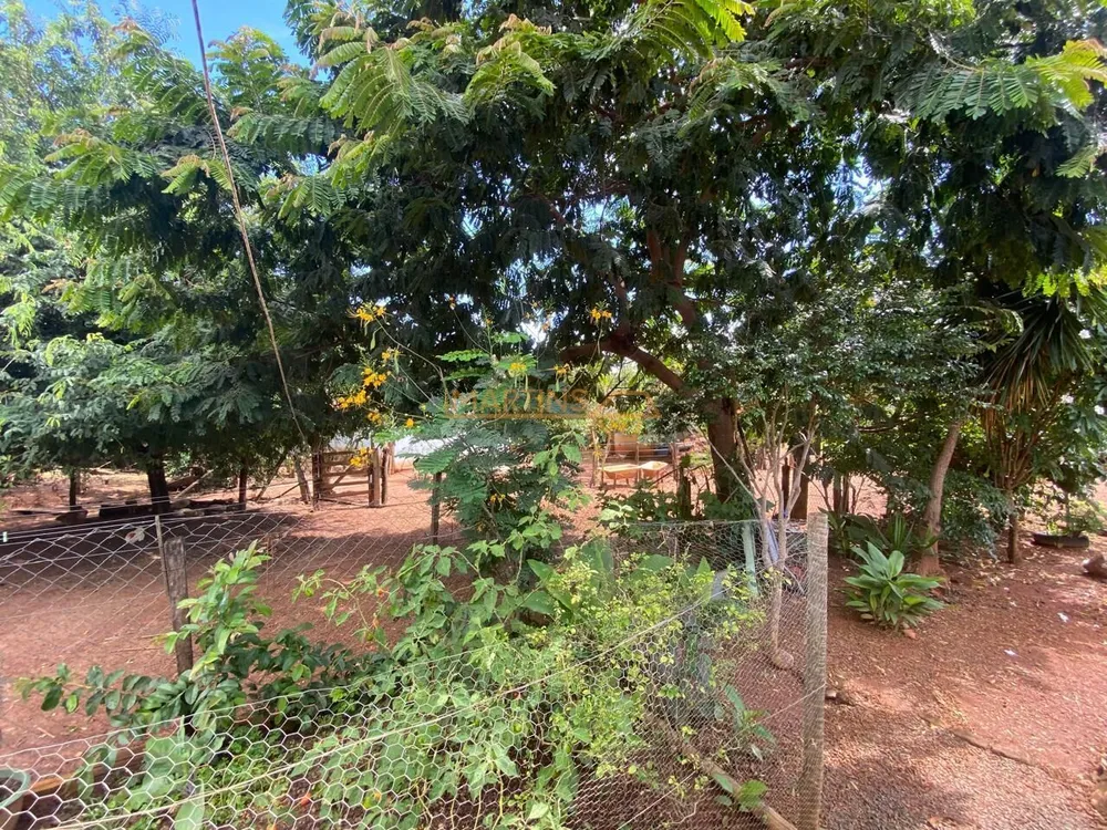 Sítio, 11 hectares - Foto 4