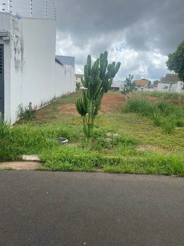 Terreno, 290 m² - Foto 1