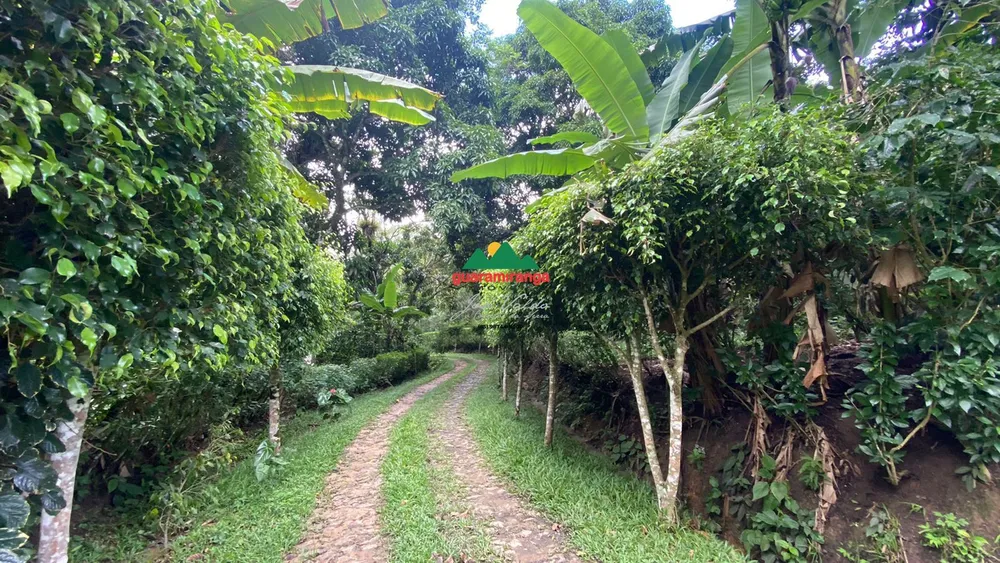 Sítio, 12 quartos, 60 hectares - Foto 15