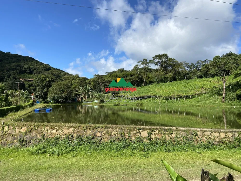 Sítio, 7 quartos, 31 hectares - Foto 3