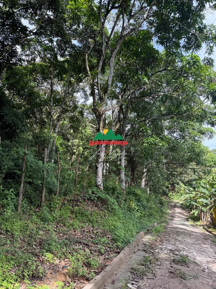 Terreno, 5 hectares - Foto 8