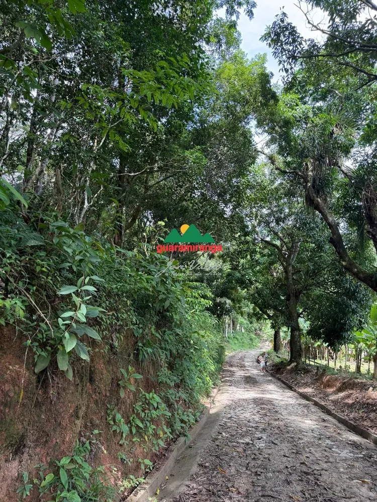 Terreno, 5 hectares - Foto 4