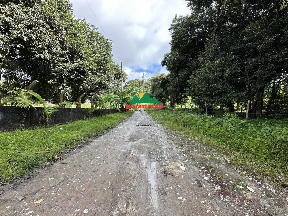 Terreno, 4 hectares - Foto 4