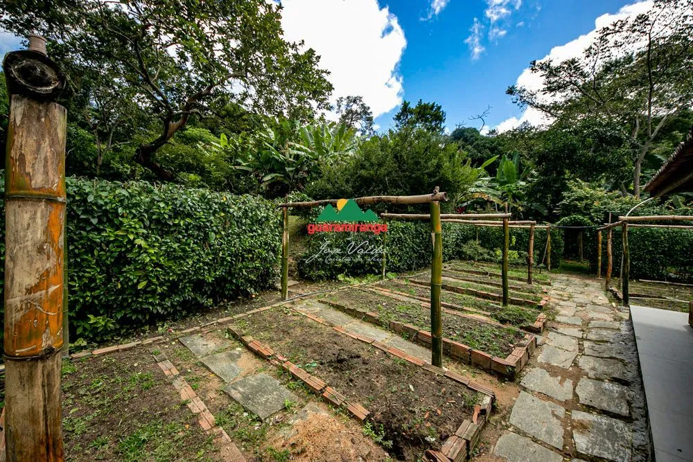Sítio, 6 quartos, 2 hectares - Foto 6