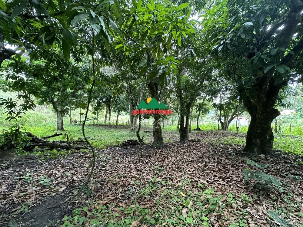 Terreno, 2204 m² - Foto 9