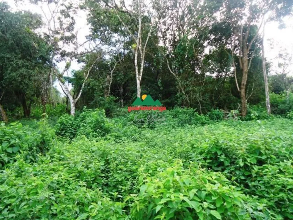 Terreno, 3 hectares - Foto 7