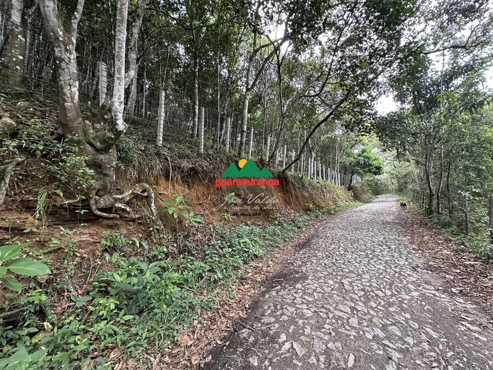 Terreno, 10000 m² - Foto 8