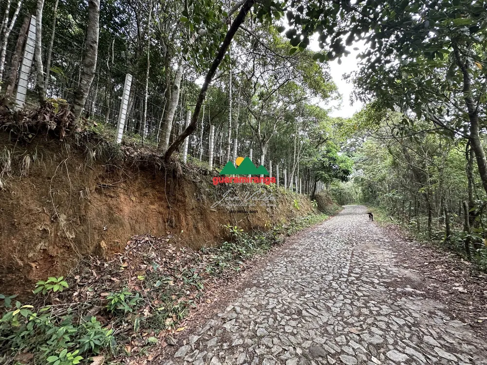 Terreno, 10000 m² - Foto 2