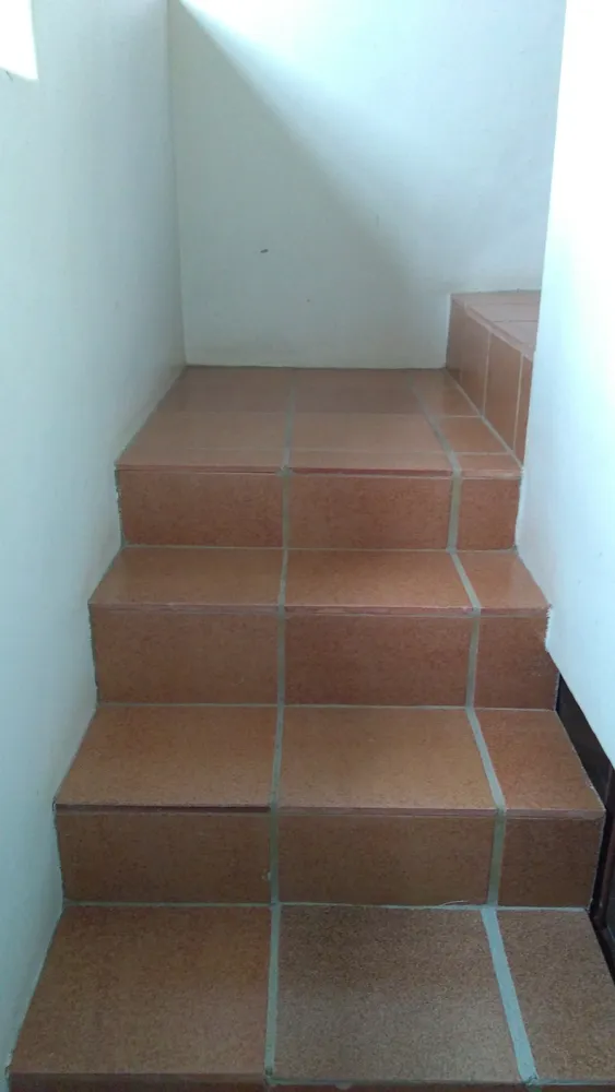 Casa, 4 quartos, 600 m² - Foto 8