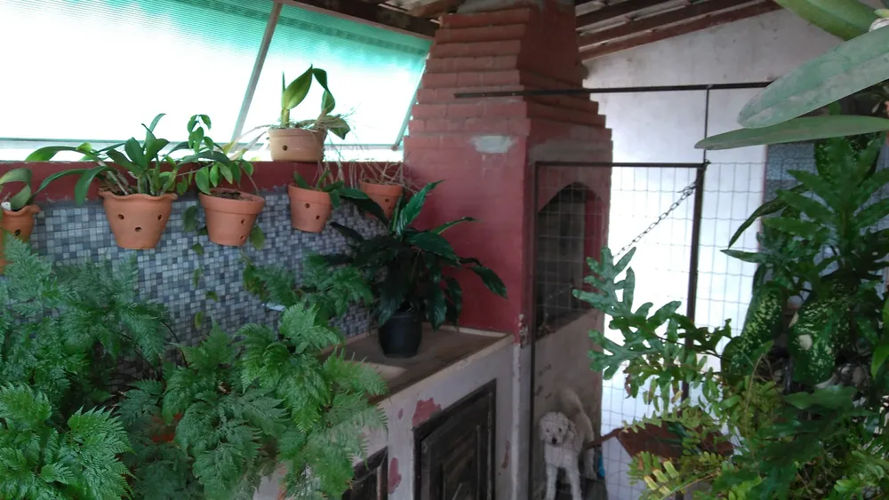 Casa, 4 quartos, 600 m² - Foto 7