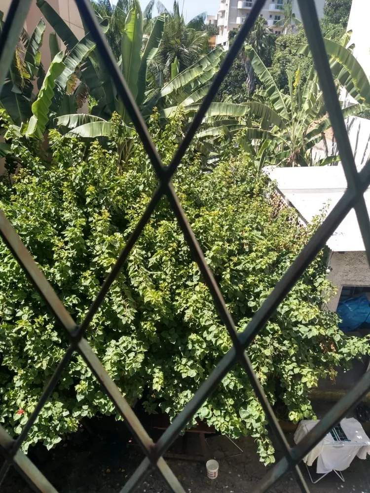 Casa, 5 quartos, 300 m² - Foto 26
