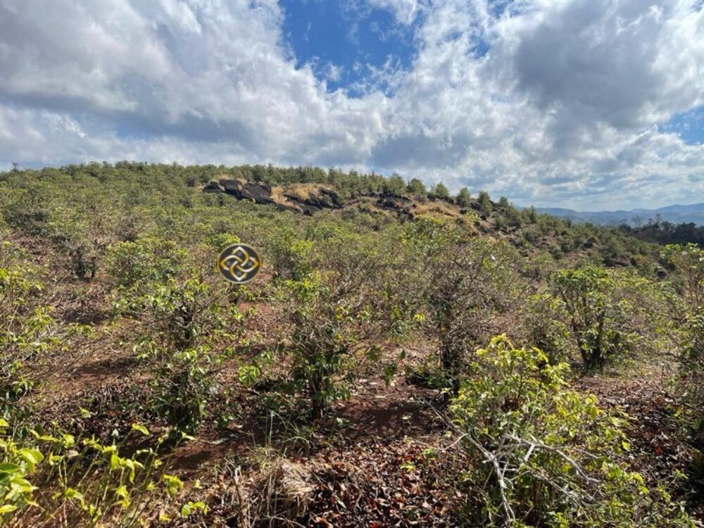 Sítio, 2 hectares - Foto 17