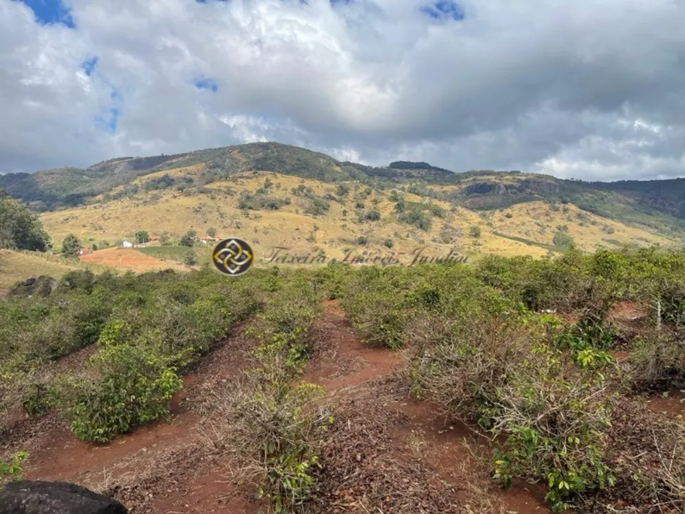 Sítio, 2 hectares - Foto 15