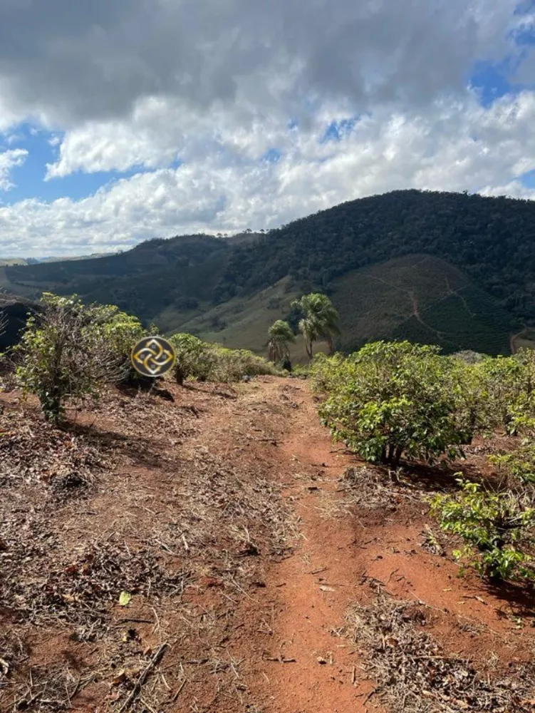 Sítio, 2 hectares - Foto 13