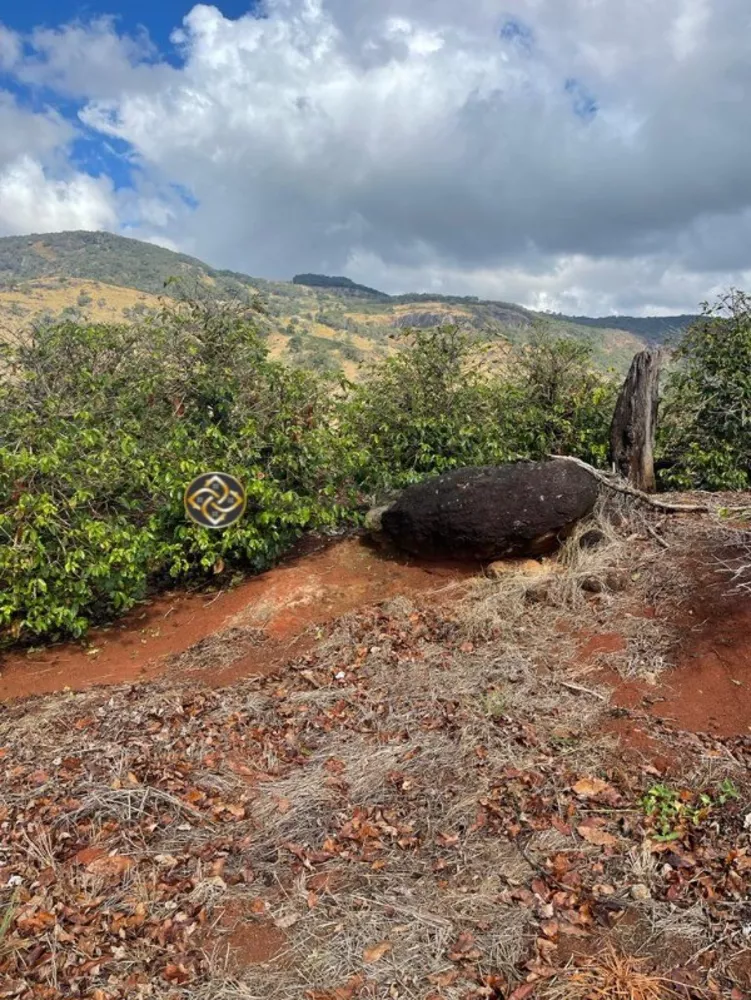 Sítio, 2 hectares - Foto 11