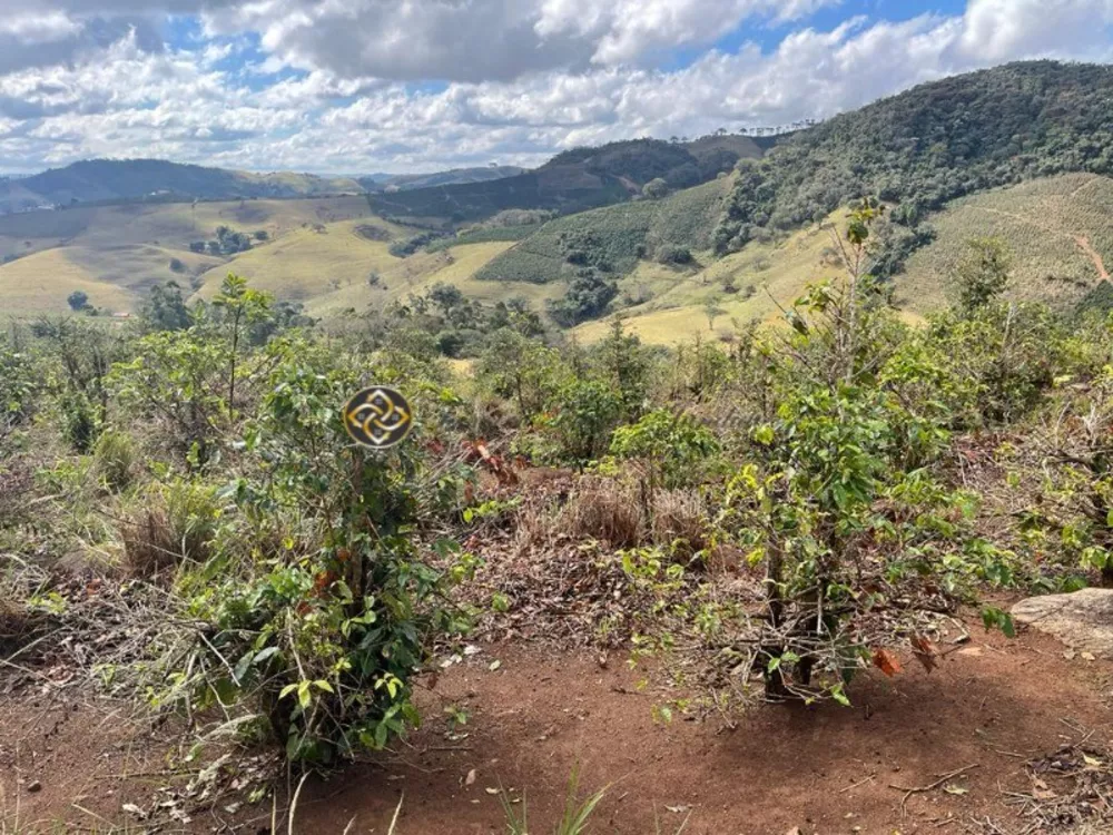 Sítio, 2 hectares - Foto 7