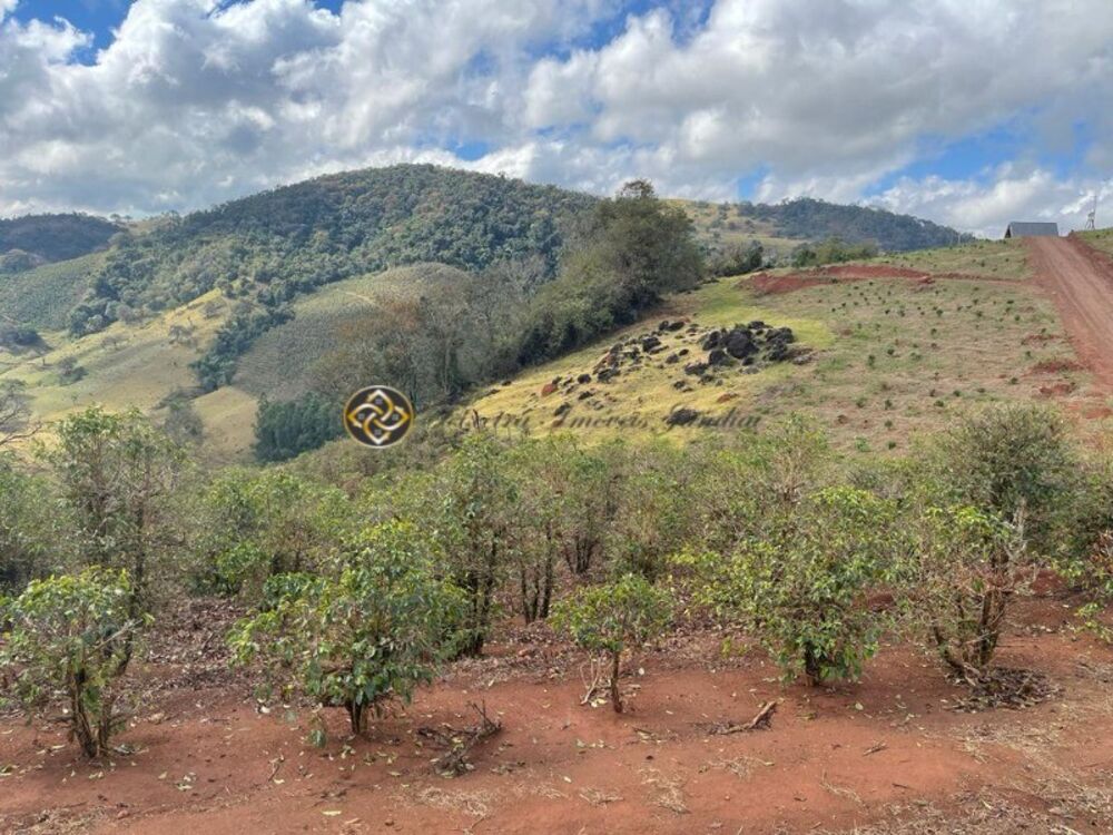 Sítio, 2 hectares - Foto 19