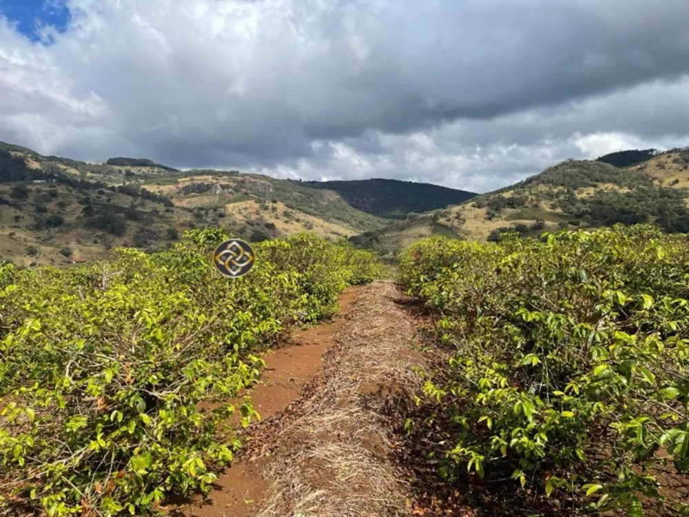 Sítio, 2 hectares - Foto 1