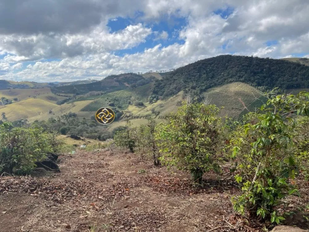 Sítio, 2 hectares - Foto 8