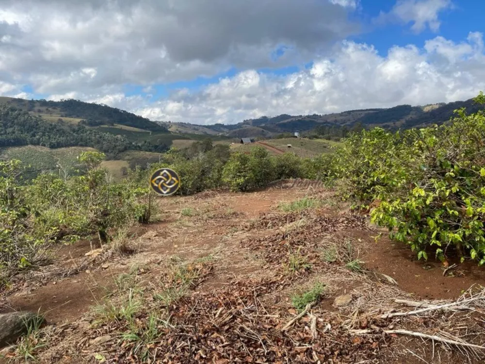 Sítio, 2 hectares - Foto 3