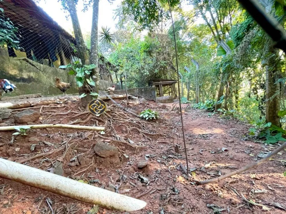 Chácara, 3 quartos, 3500 m² - Foto 12