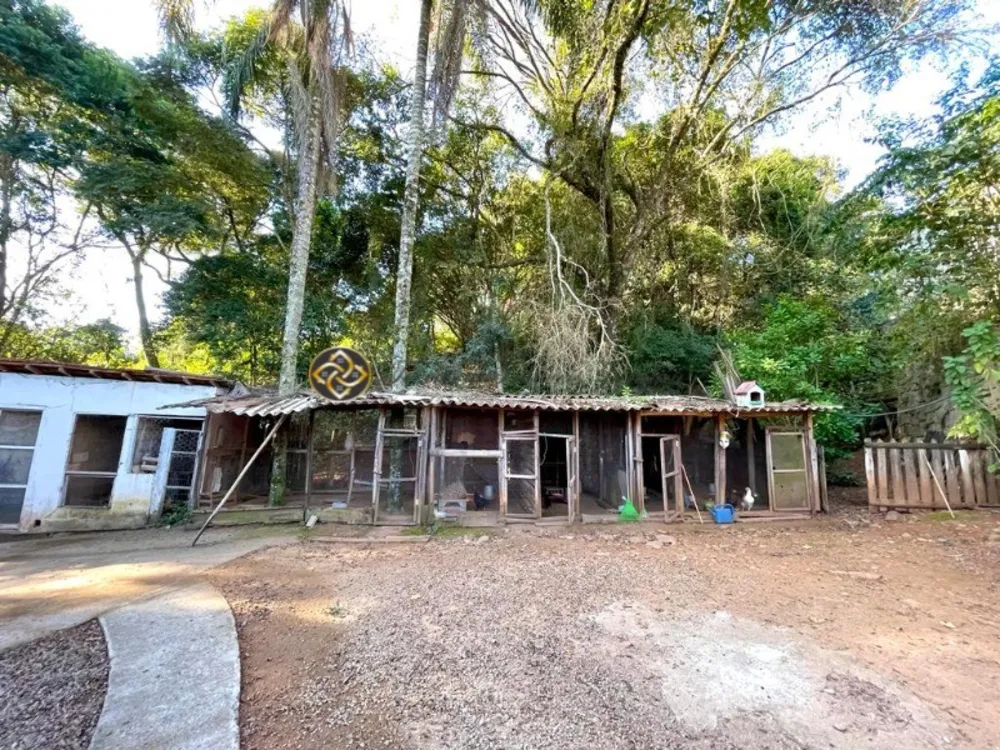 Chácara, 3 quartos, 3500 m² - Foto 3