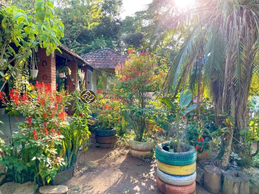 Chácara, 3 quartos, 3500 m² - Foto 3