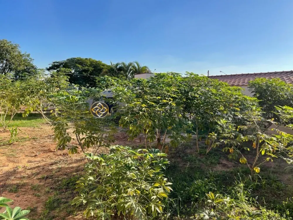 Terreno, 250 m² - Foto 3