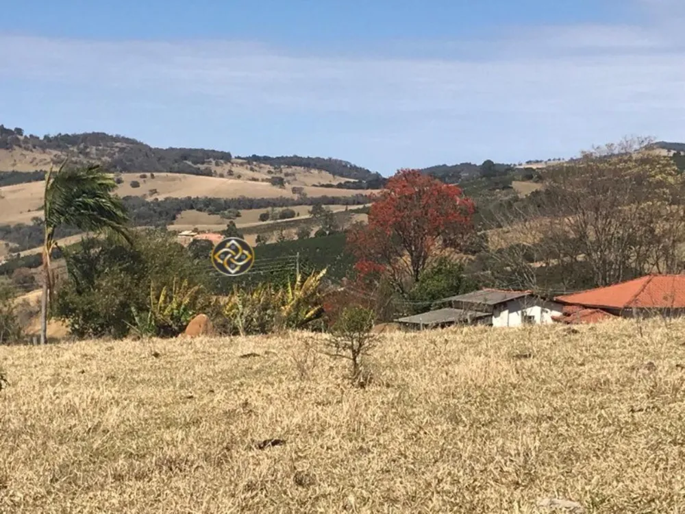 Sítio, 7 hectares - Foto 13