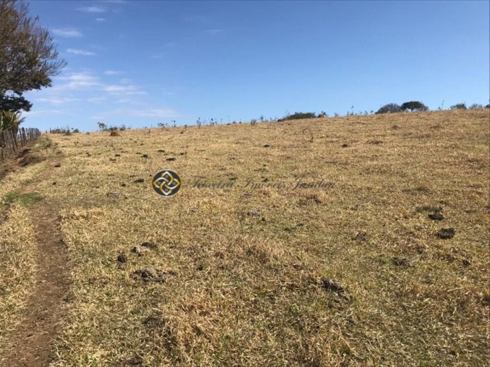 Sítio, 7 hectares - Foto 7