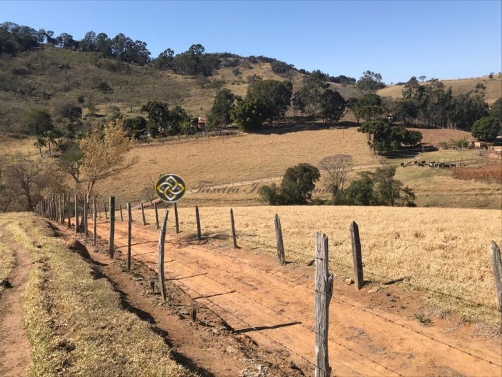 Sítio, 7 hectares - Foto 5