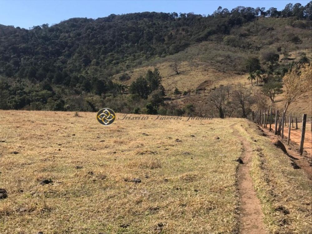 Sítio, 7 hectares - Foto 6