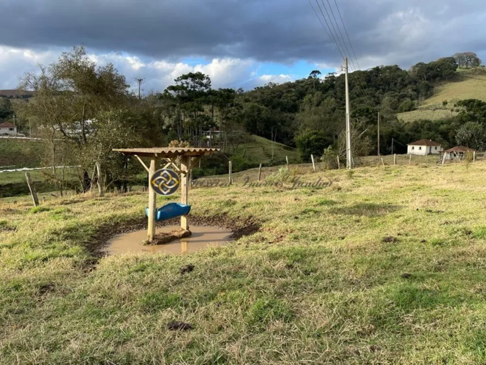 Sítio, 4 hectares - Foto 18