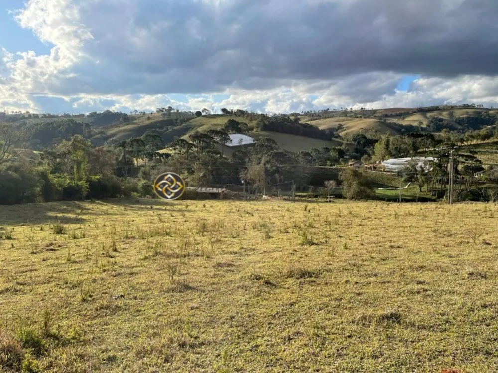 Sítio, 4 hectares - Foto 1
