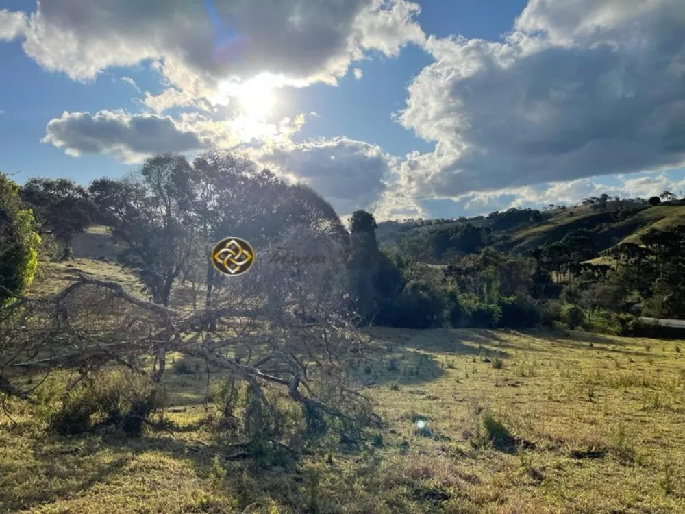 Sítio, 4 hectares - Foto 1