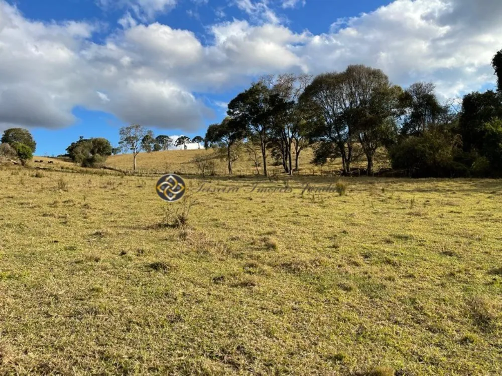 Sítio, 4 hectares - Foto 16