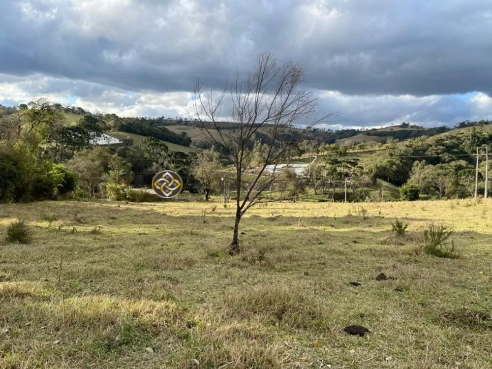 Sítio, 4 hectares - Foto 3