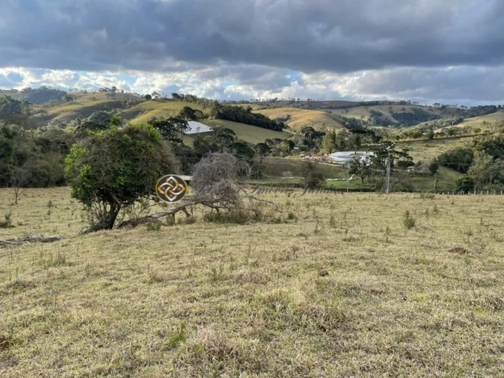 Sítio, 4 hectares - Foto 8
