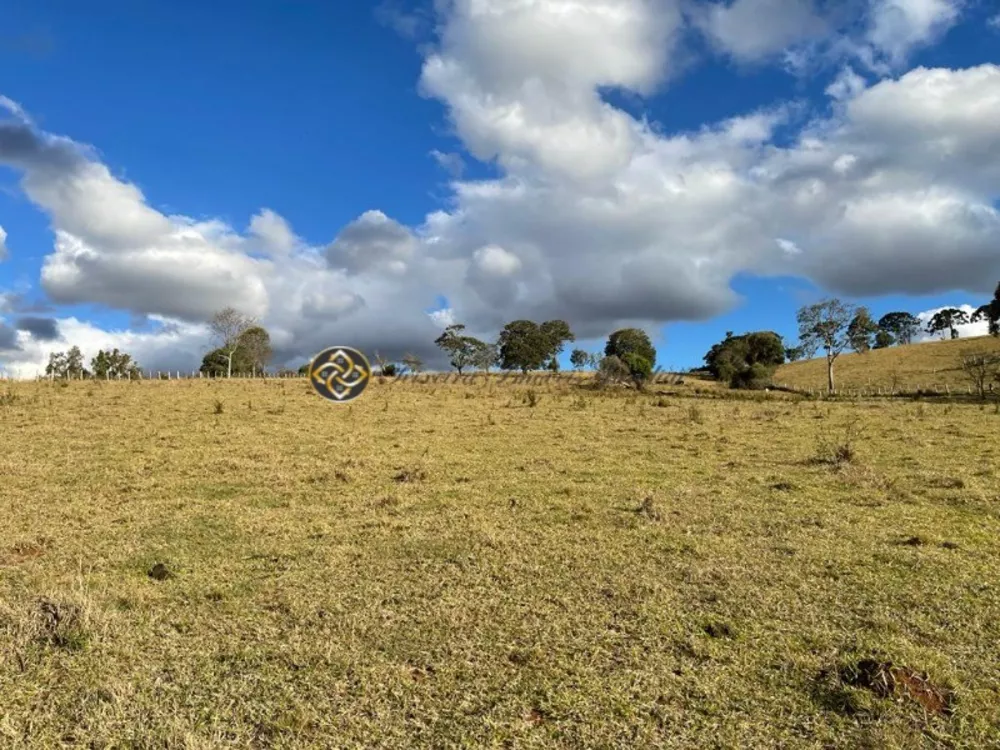 Sítio, 4 hectares - Foto 6