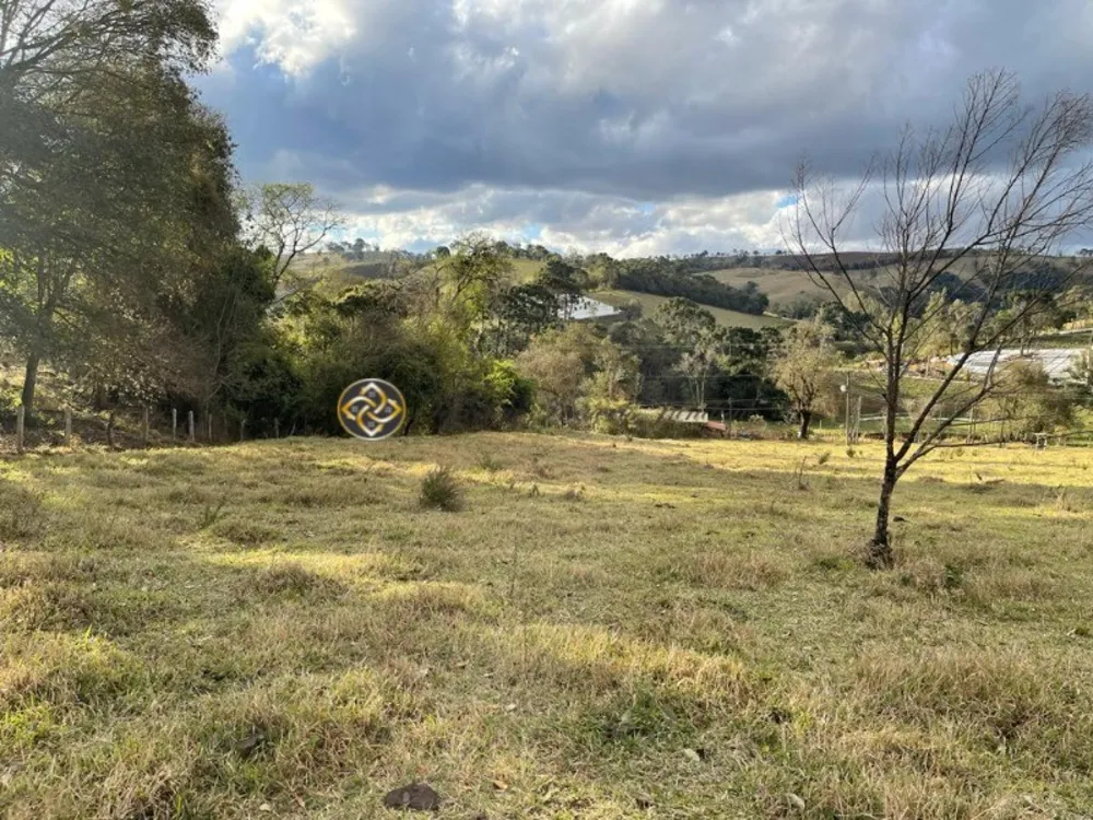 Sítio, 4 hectares - Foto 10
